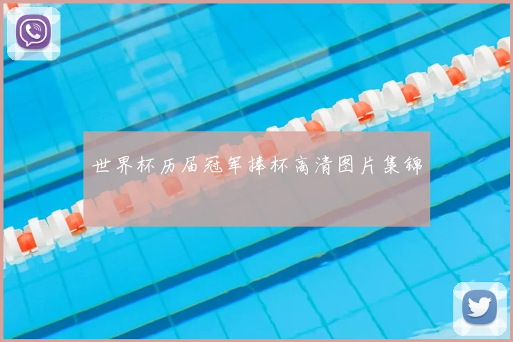 世界杯历届冠军捧杯高清图片集锦