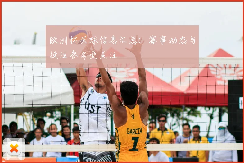 欧洲杯买球信息汇总：赛事动态与投注参考受关注